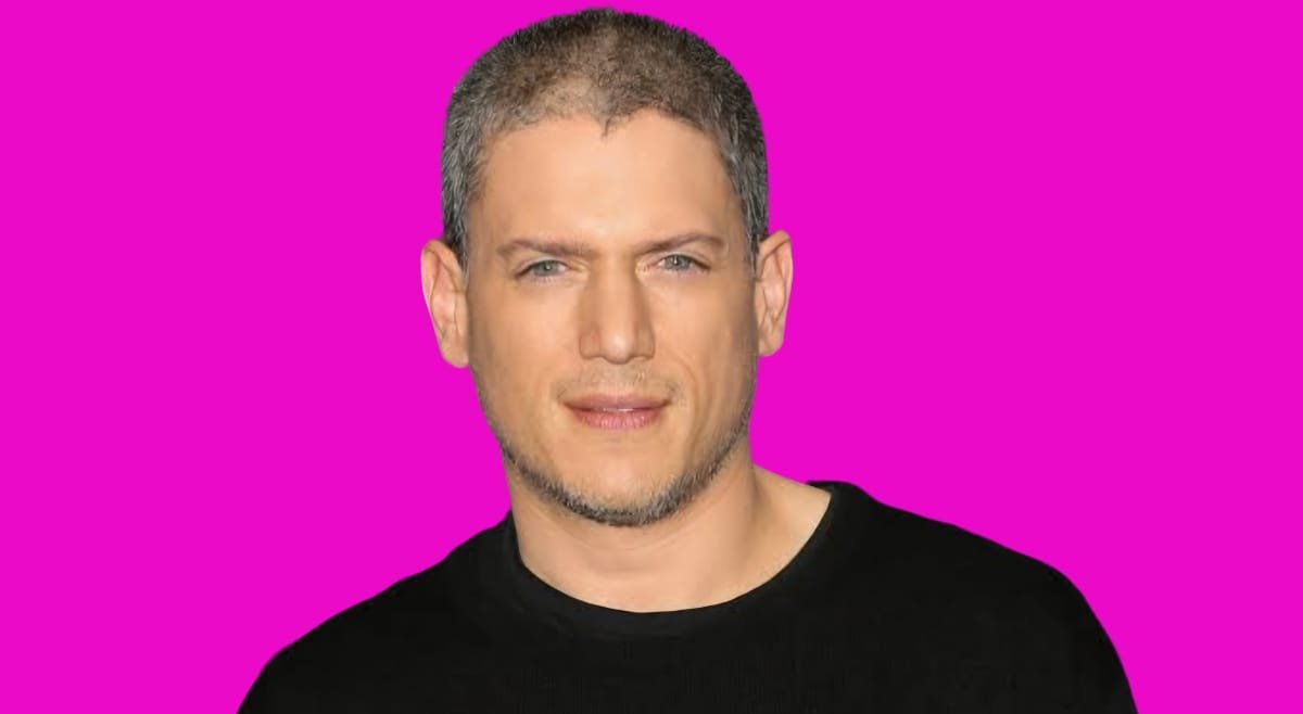 wentworth miller husband